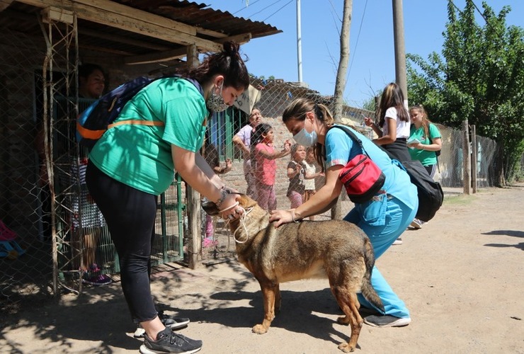 Foto: Municipalidad