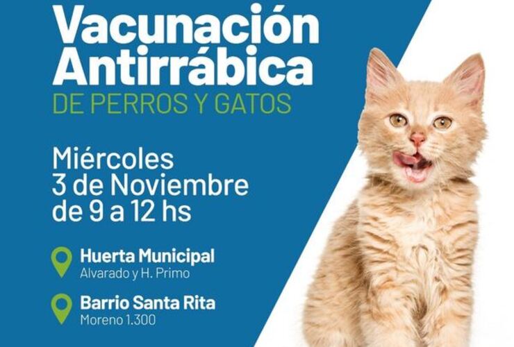 Imagen de Nueva vacunación antirrábica para perros y gatos