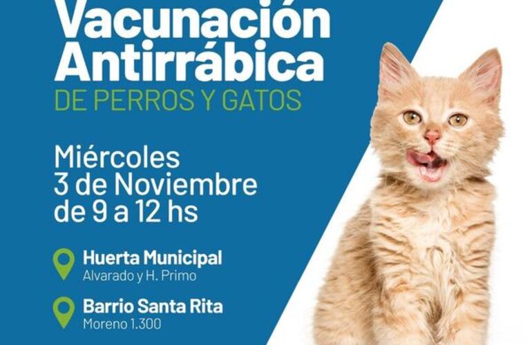 Imagen de Nueva vacunación antirrábica para perros y gatos