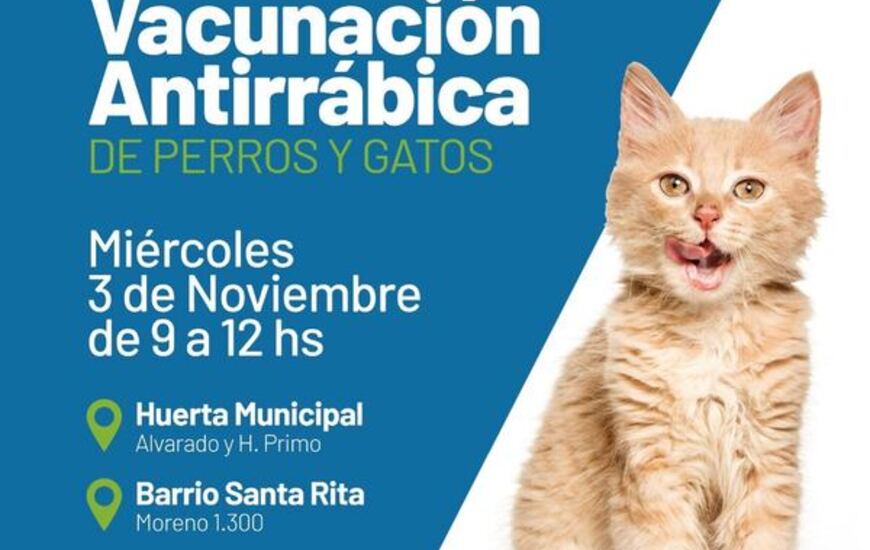 Imagen de Nueva vacunaci&oacute;n antirr&aacute;bica para perros y gatos