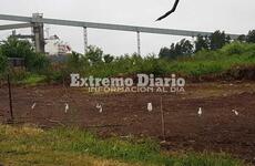 Los terrenos se venderían a cien mil pesos