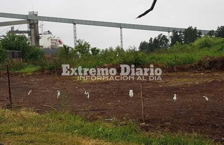 Los terrenos se venderían a cien mil pesos