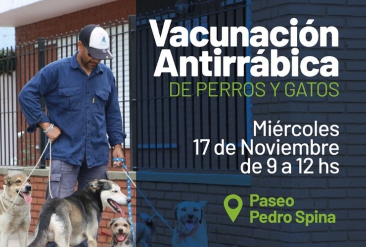 Imagen de Nueva jornada de vacunación antirrábica para perros y gatos