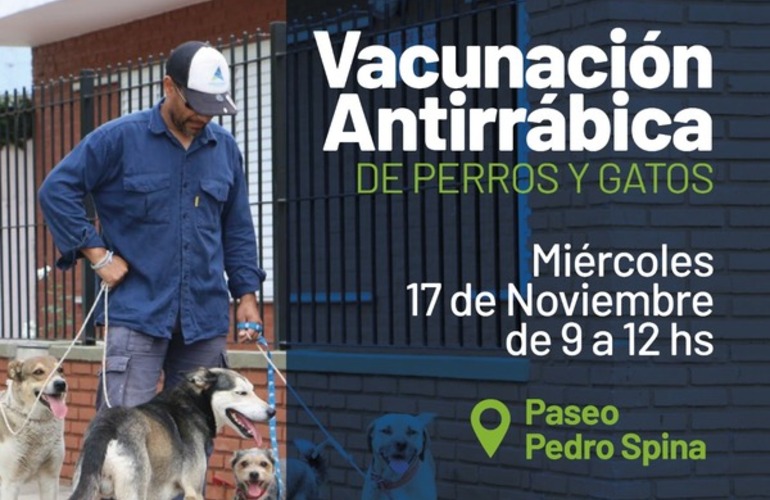 Imagen de Nueva jornada de vacunación antirrábica para perros y gatos