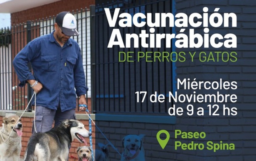 Imagen de Nueva jornada de vacunaci&oacute;n antirr&aacute;bica para perros y gatos