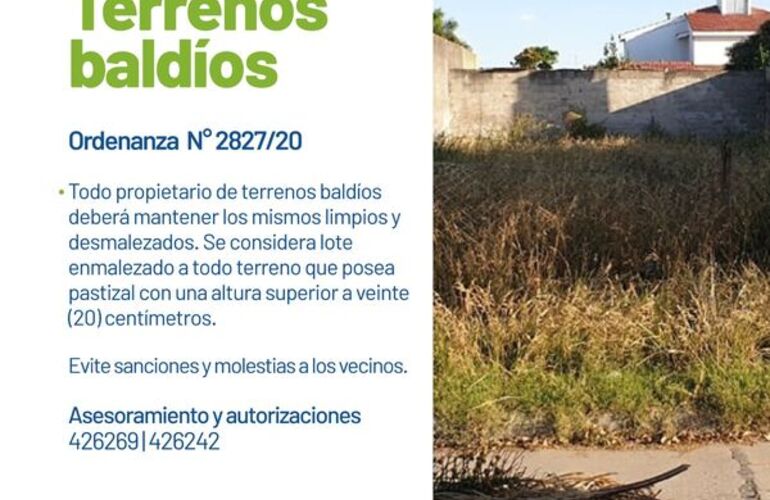 Imagen de Oficina de Inspecciones: Terrenos Baldíos