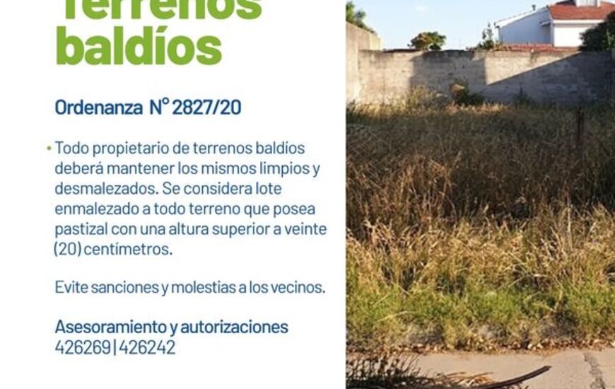 Imagen de Oficina de Inspecciones: Terrenos Bald&iacute;os