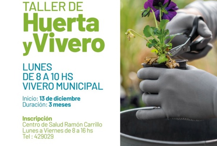 Imagen de Área de Salud Mental: Taller de Huerta y Vivero