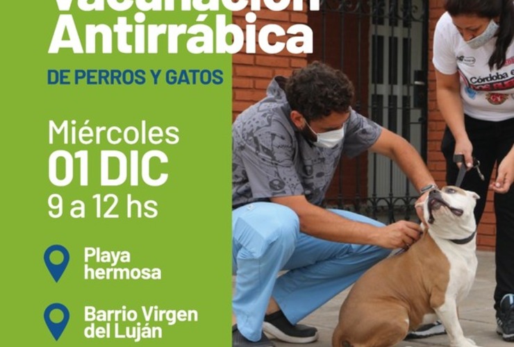 Imagen de Avanzan las jornadas de vacunación antirrábica de perros y gatos