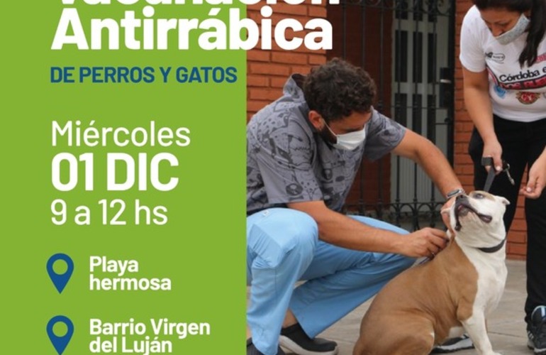 Imagen de Avanzan las jornadas de vacunación antirrábica de perros y gatos