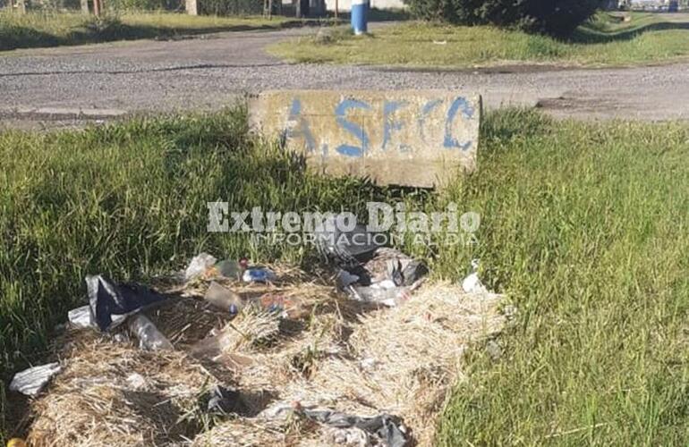 Imagen de Reclamo: Zanjón repleto de pasto y basura