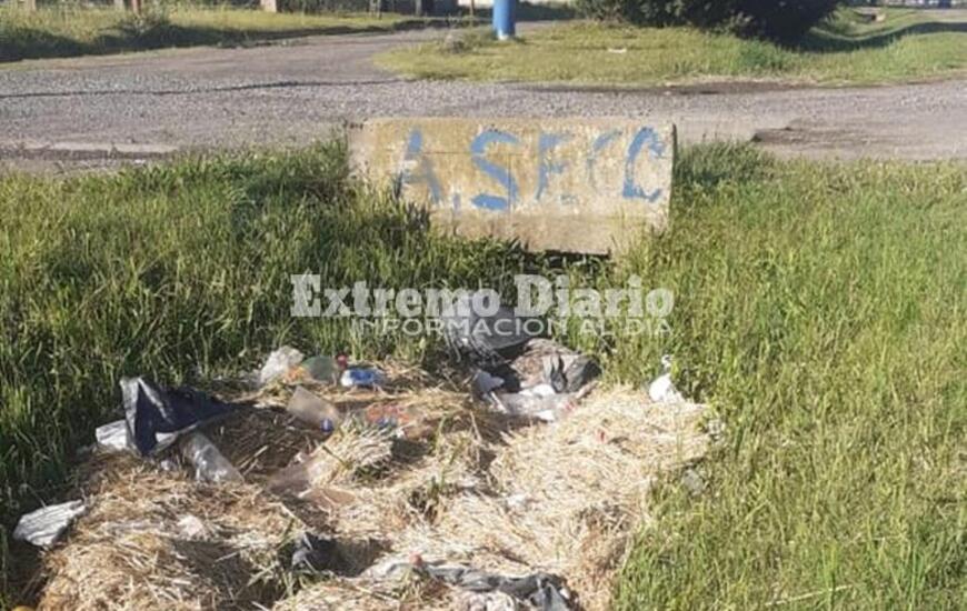 Imagen de Reclamo: Zanj&oacute;n repleto de pasto y basura