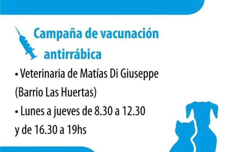 La actividad tiene lugar en la veterinaria de Matías Di Giuseppe.