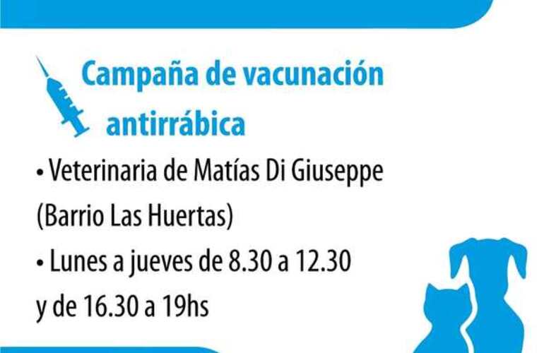 La actividad tiene lugar en la veterinaria de Matías Di Giuseppe.