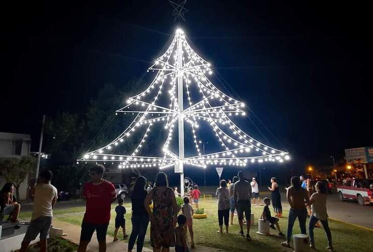 Imagen de Se encendieron las luces de los árboles del Bv. Mansueto Maiorano