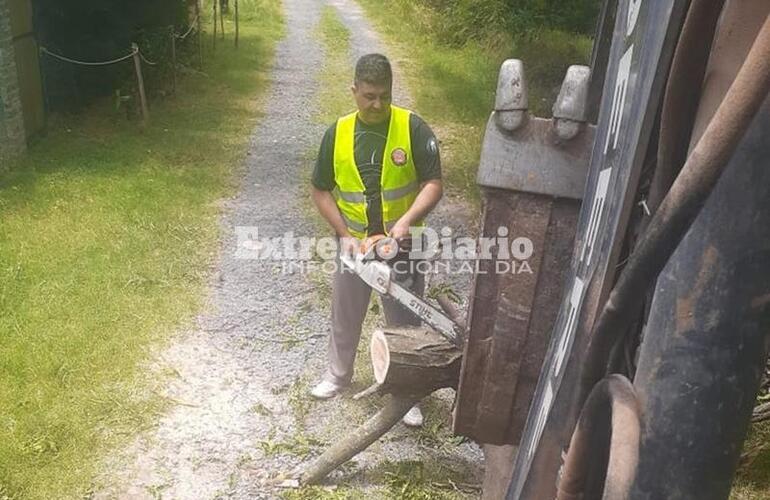 Imagen de Protecci&oacute;n Civil convocado por ca&iacute;da de &aacute;rbol