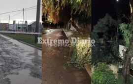 Protecci&oacute;n Civil y Bomberos Voluntarios trabajaron en todo el pueblo