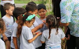 Foto: Municipalidad