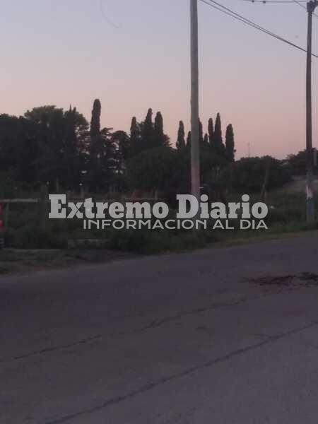 Imagen de Se le cruzaron dos caballos y choc&oacute; en el camino al Rowing