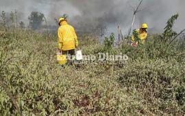 Imagen de Bomberos de Arroyo Seco colabora para combatir el fuego en las islas