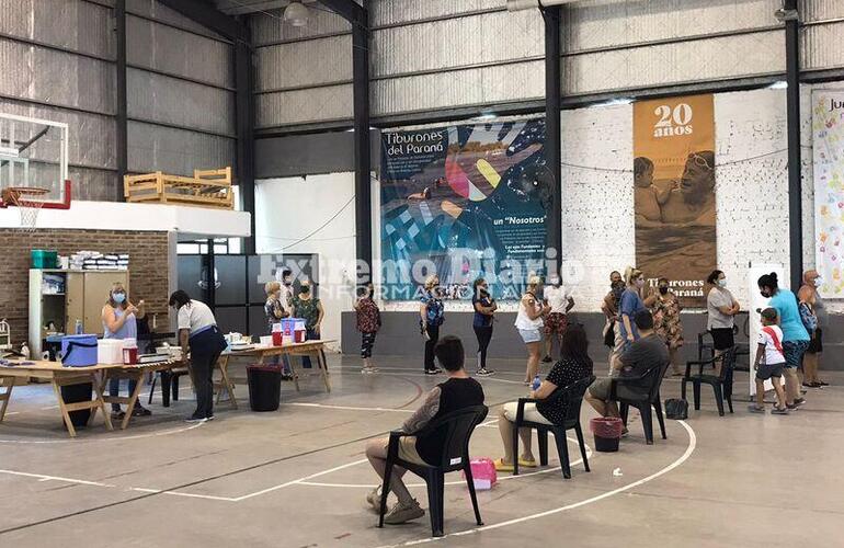 Imagen ilustrativa. Vacunaci&oacute;n en Tiburones