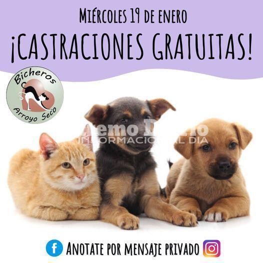 Imagen de Jornada de castraciones gratuitas en Arroyo Seco