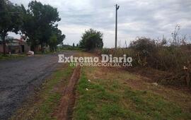 Los troncos quedaron a la vera del camino en calle Carriego