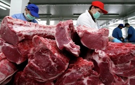 Imagen de El gobierno acord&oacute; "Precios Cuidados" para siete cortes de carne