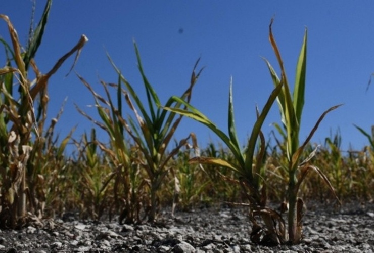 El beneficio se extenderá hasta la producción del 30 de junio del 2022.