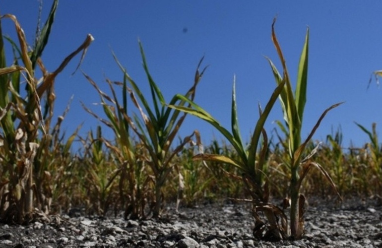 El beneficio se extenderá hasta la producción del 30 de junio del 2022.