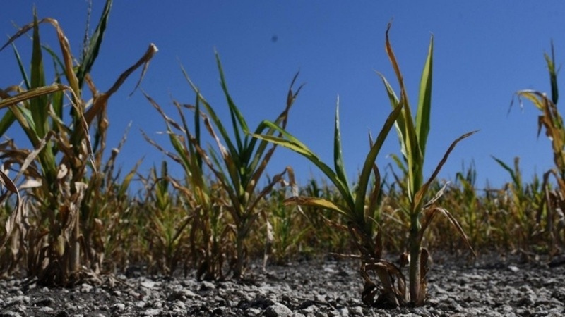 El beneficio se extender&aacute; hasta la producci&oacute;n del 30 de junio del 2022.