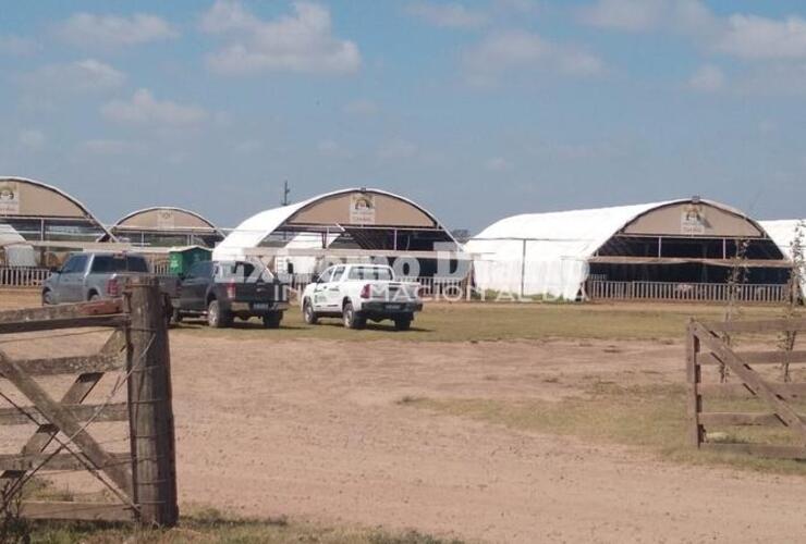 Calzin funciona en la zona norte de la ciudad