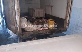 Imagen de Secuestraron 250 kilos de pescado por infracci&oacute;n a la ley de veda pesquera