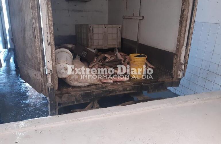 Imagen de Secuestraron 250 kilos de pescado por infracción a la ley de veda pesquera