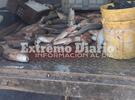 Imagen de Secuestraron 250 kilos de pescado por infracción a la ley de veda pesquera