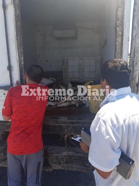 Imagen de Secuestraron 250 kilos de pescado por infracci&oacute;n a la ley de veda pesquera