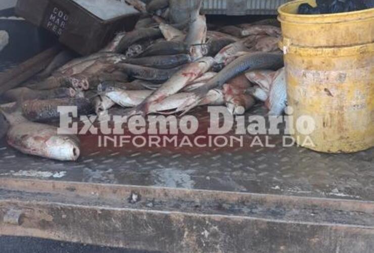 Imagen de Se le dio intervención a la Secretaría de Estado de Medio Ambiente por el secuestro de los 250 kg de pescado