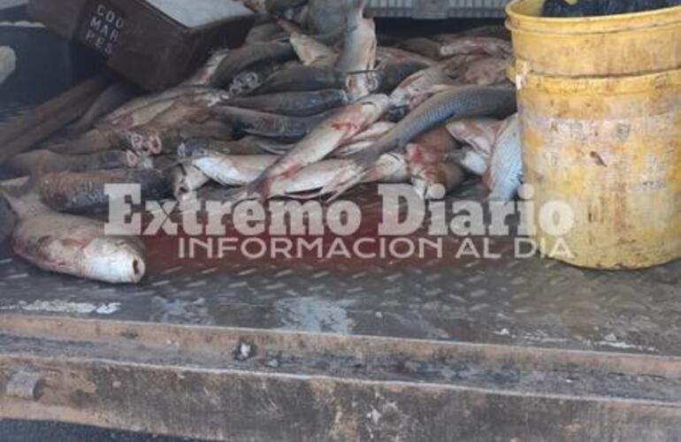 Imagen de Se le dio intervención a la Secretaría de Estado de Medio Ambiente por el secuestro de los 250 kg de pescado