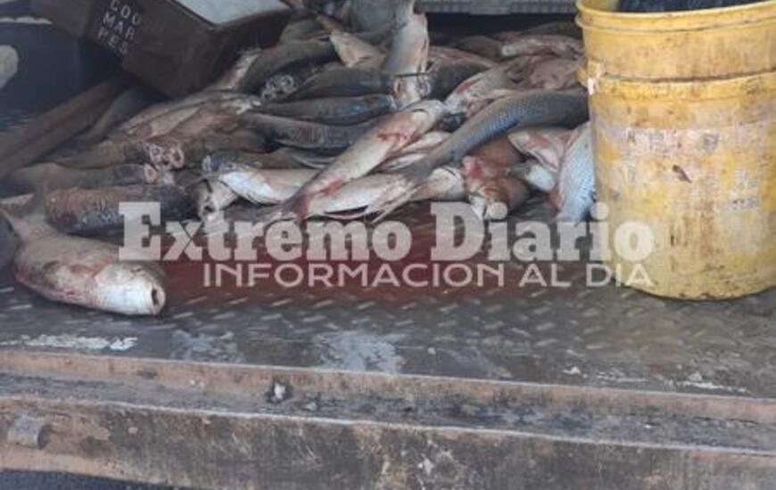 Imagen de Se le dio intervenci&oacute;n a la Secretar&iacute;a de Estado de Medio Ambiente por el secuestro de los 250 kg de pescado