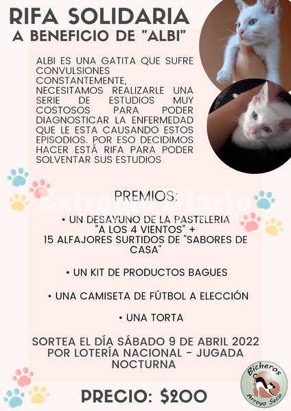 Imagen de Rifa a beneficio de "Albi", una gata a la que le deben realizar costosos estudios