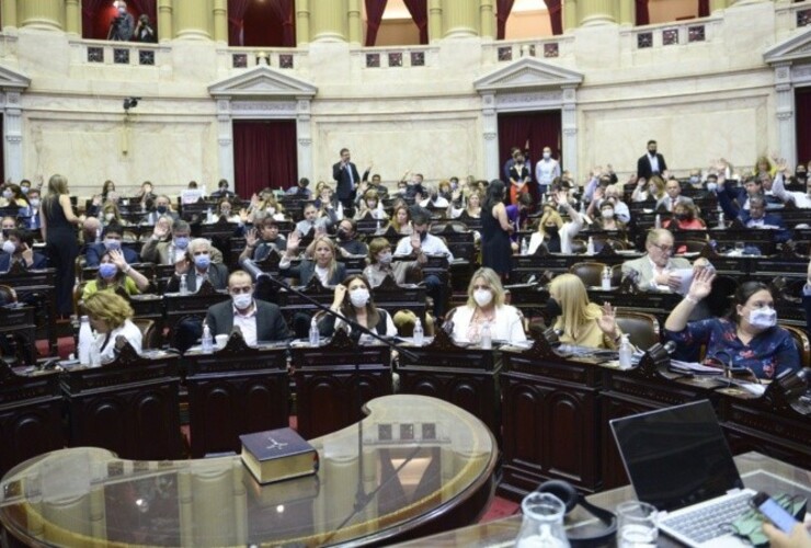 Los santafesinos Marcos Cleri y Alejandra Obeid votaron en contra. (@DiputadosAr)