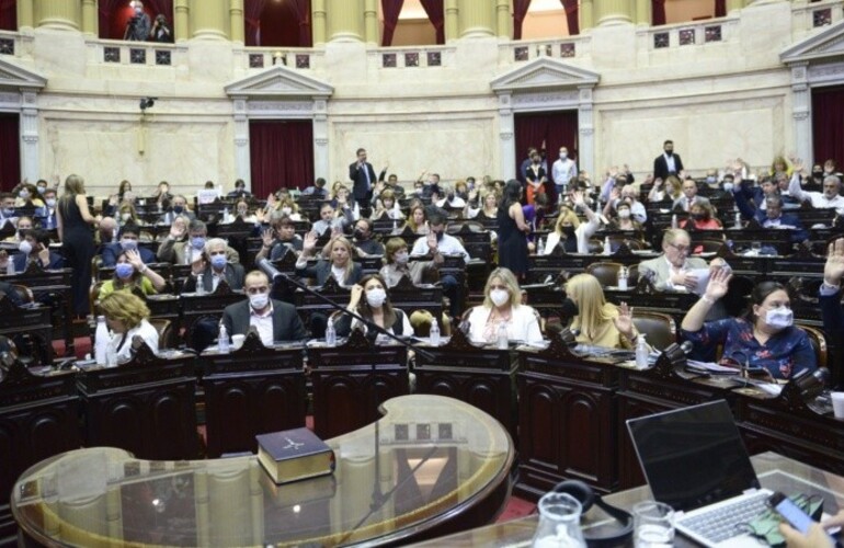 Los santafesinos Marcos Cleri y Alejandra Obeid votaron en contra. (@DiputadosAr)