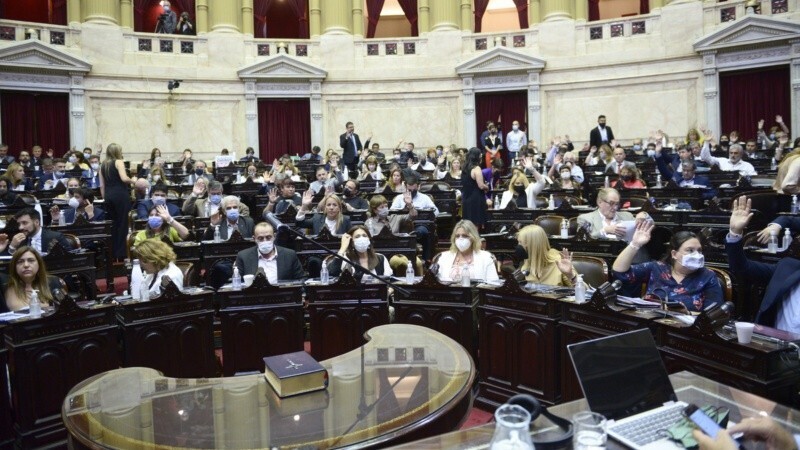 Los santafesinos Marcos Cleri y Alejandra Obeid votaron en contra. (@DiputadosAr)