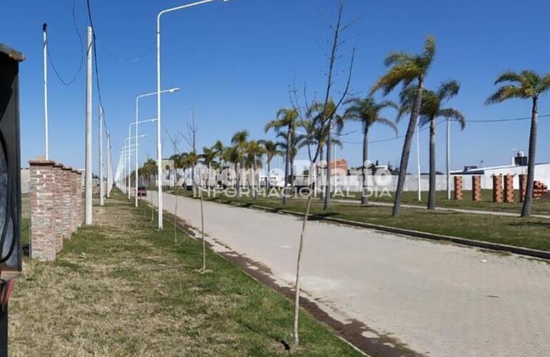 Imagen de Robaron en una casa en Tierra de Sue&ntilde;os