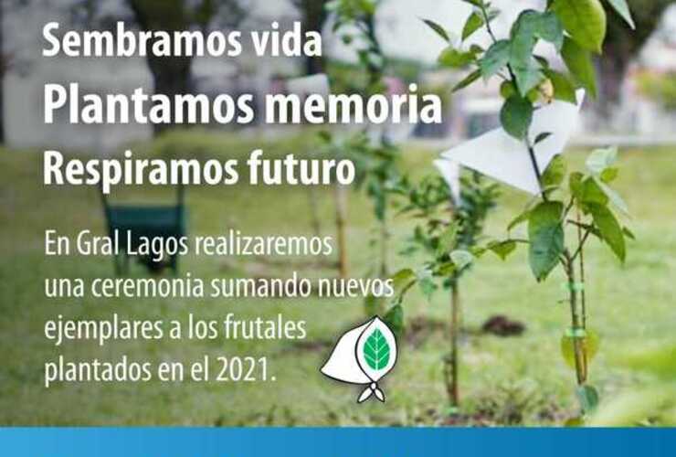 El jueves se plantan nuevos árboles conmemorativos en las inmediaciones del vivero.