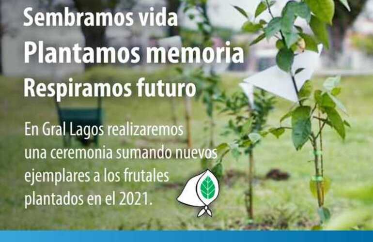 El jueves se plantan nuevos árboles conmemorativos en las inmediaciones del vivero.