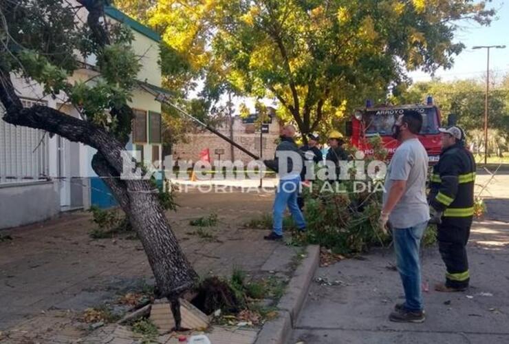 Imagen de La ciudad registró ráfagas de hasta 80 km/h y 35 mm de agua caída