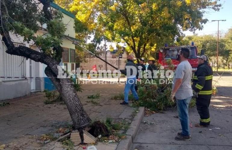 Imagen de La ciudad registró ráfagas de hasta 80 km/h y 35 mm de agua caída