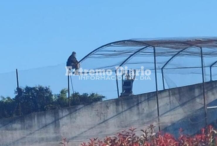 Imagen de Tras resistirse más de 15 horas, finalmente se bajó y fue asistido por el SIES