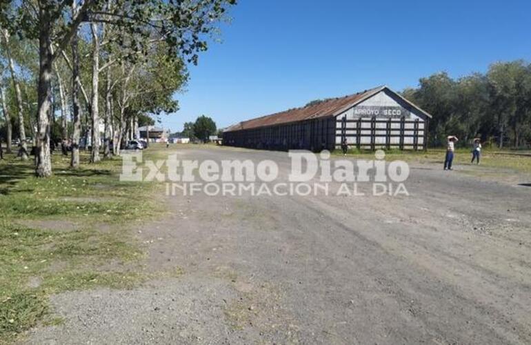 Los &aacute;rboles fueron plantados durante el gobierno de Pedro Spina